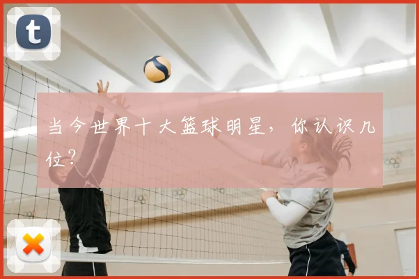 当今世界十大篮球明星，你认识几位？