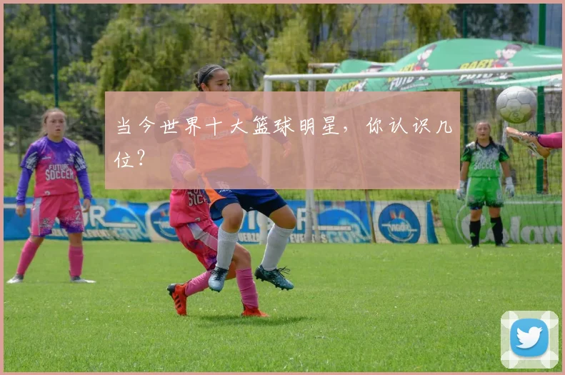 当今世界十大篮球明星，你认识几位？